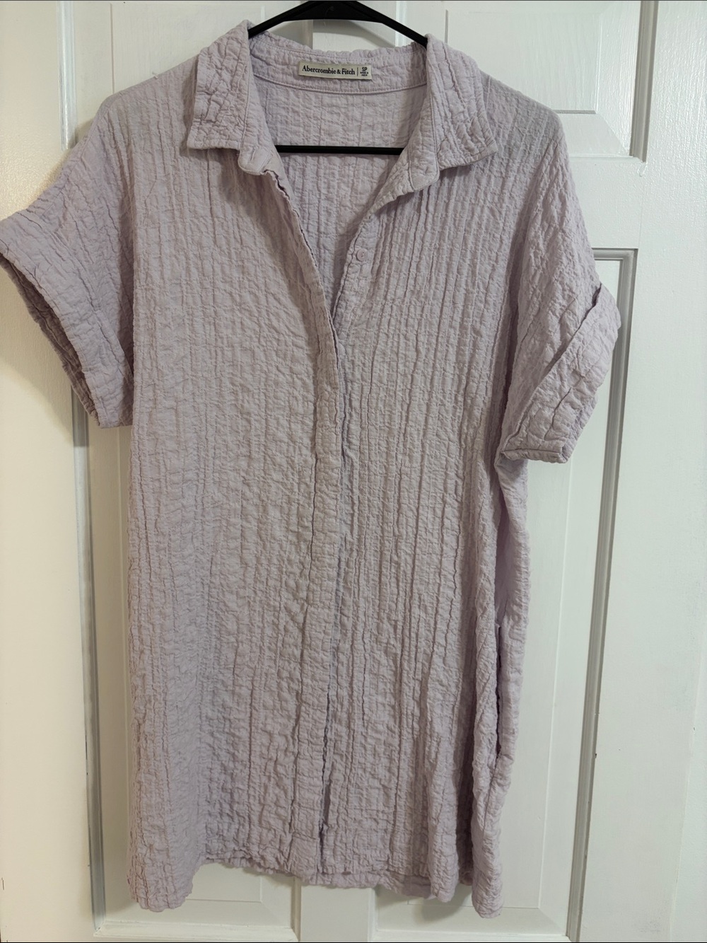 Abercrombie & Fitch Pale Lavender Crinkle Button-Down Dress